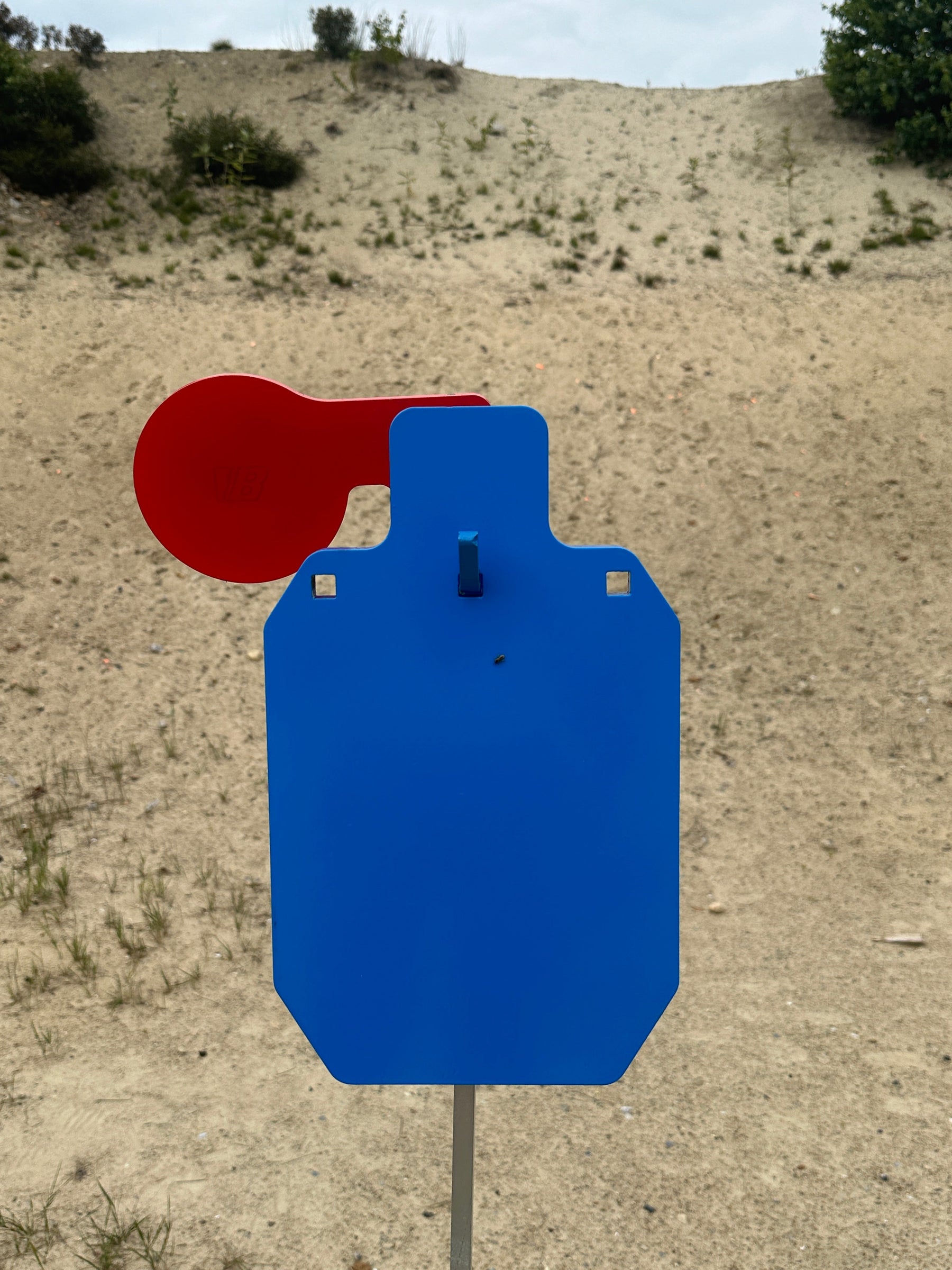 What is an AR500 Steel Hostage Target Training System?